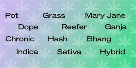 Slang for ween (Related Terms) .